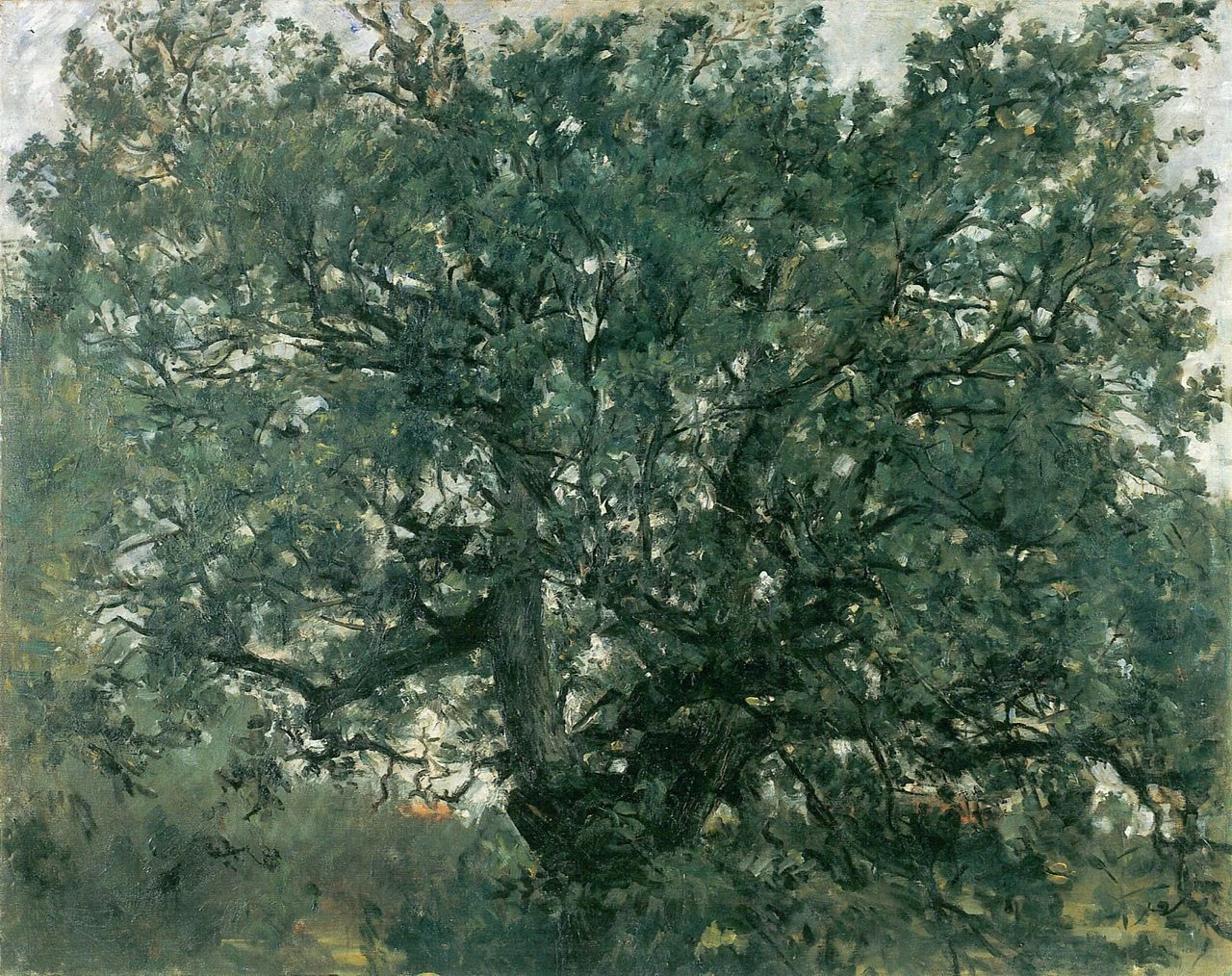 La quercia 1907 - Kunsthalle Mannheim